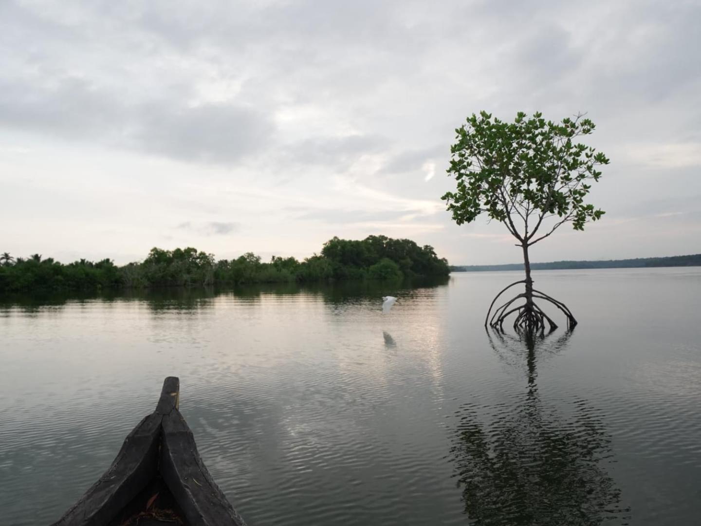 Bliss Homestay Munroe Island Mundrothuruth Buitenkant foto