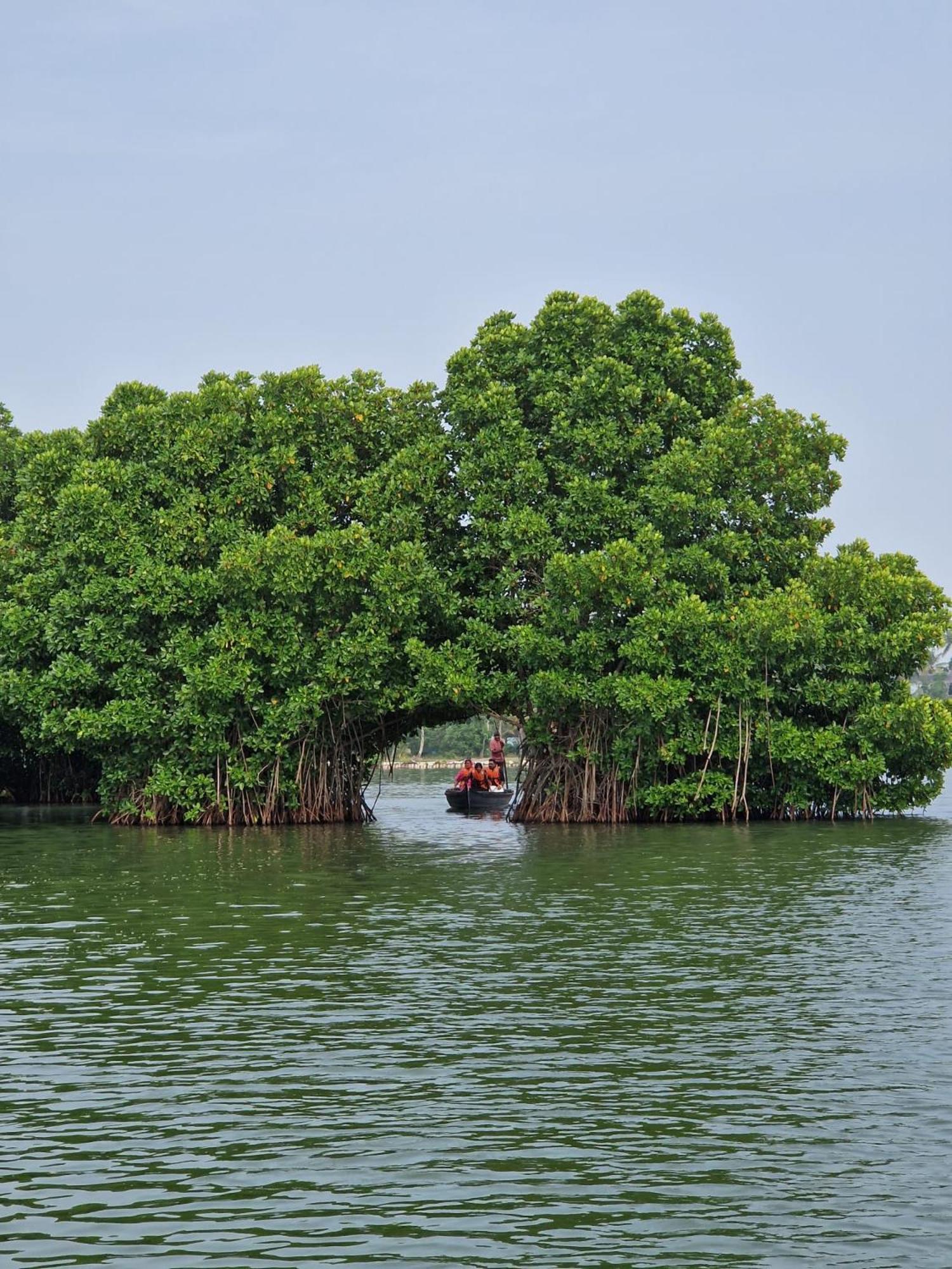 Bliss Homestay Munroe Island Mundrothuruth Buitenkant foto