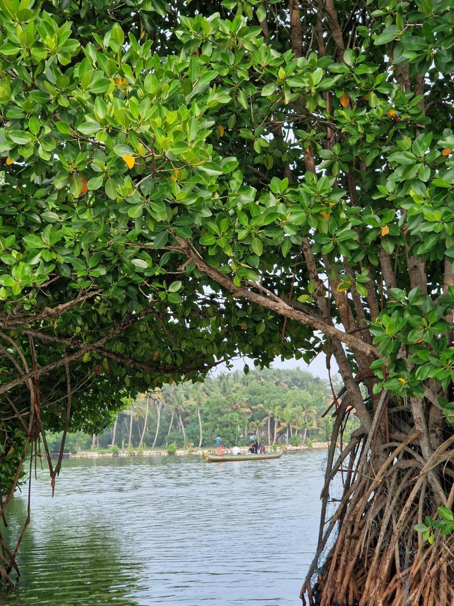 Bliss Homestay Munroe Island Mundrothuruth Buitenkant foto