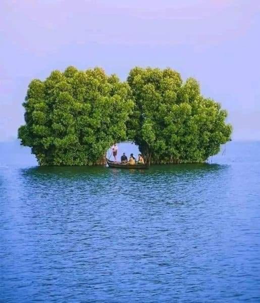 Bliss Homestay Munroe Island Mundrothuruth Buitenkant foto